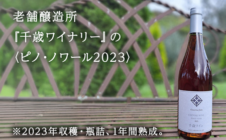 千歳ワインピノノワール2023 （Chitose Wine PINOT NOIR2023）750ml 1本※ギフトボックス無し