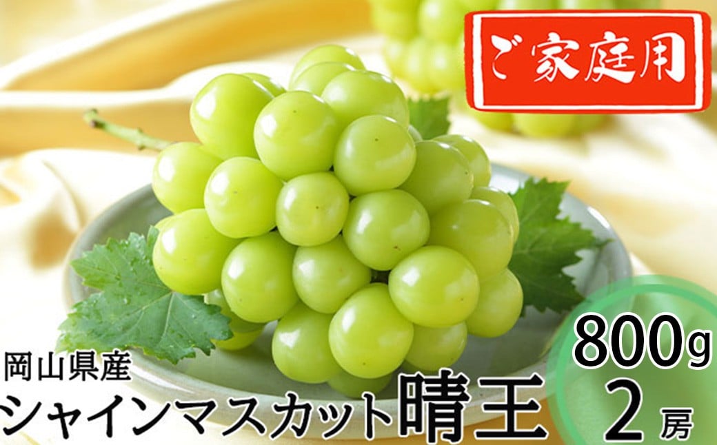 
            ご家庭用 シャインマスカット 晴王 約400g×2房 約800g 【2026年8月下旬～11月下旬迄発送】 ／ マスカット 葡萄 ぶどう 果物 果実 フルーツ 種なし 皮ごと 大粒 家庭用 岡山県 美咲町 冷蔵
          