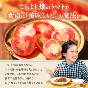 トマト 中玉 よしよし畑 農家直送 トマト【800g〜1kg】