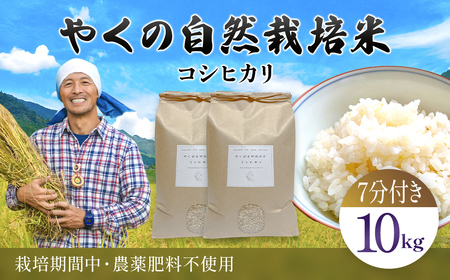 令和8年産先行予約 やくの自然栽培米 コシヒカリ 7分づき 10kg ゆたか（ゆたか自然農園）