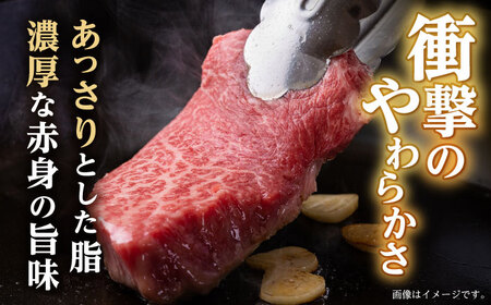 【12回定期便】ランプ ステーキ 300g（150g×2枚） / ステーキ 長崎和牛 A5ランク 希少部位 A5 / 諫早市 / 野中精肉店 [AHCW034]