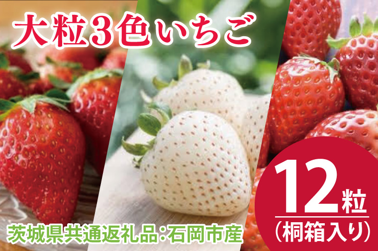 【先行予約】桐箱入り 大粒3色いちご 12粒（茨城県共通返礼品：石岡市産）※2024年12月初旬～2025年3月下旬頃に順次発送予定（CD013）