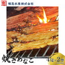 【ふるさと納税】 焼き方・タレにこだわった焼きあなご4尾×2串 or 3串【播州 焼き穴子 焼きアナゴ 海鮮 お取り寄せ ギフト 人気】