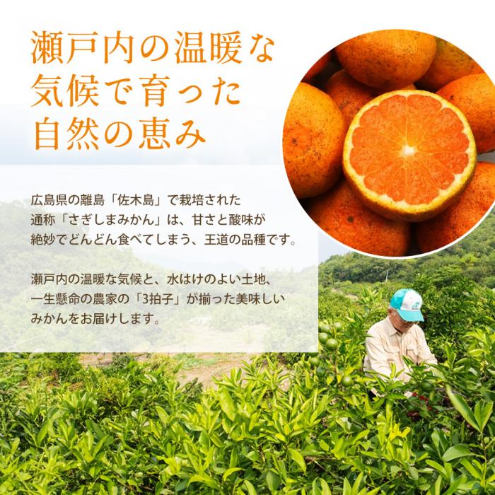 みかん【先行受付】【2025年11月以降発送】甘いだけじゃない！ 甘みと酸味の 早生みかん ＜約2.5kg＞ 広島 三原 佐木島 鷺島みかんじま 017039