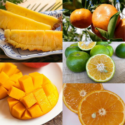 【ふるさと納税】【発送月固定定期便】南国プレミアムフルーツ定期便(マンゴー&パイナップル2種&柑橘3種)全6回【配送不可地域：離島】【4081234】