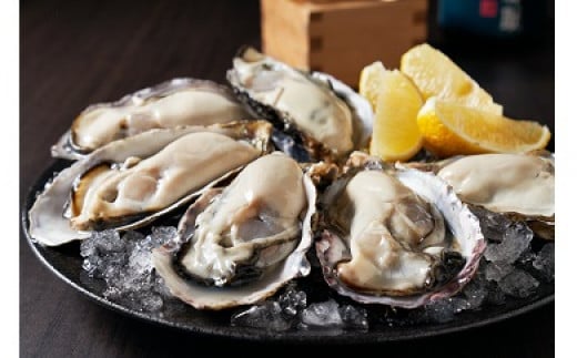 【 2026年発送 】【厳選！】日生頭島殻付牡蠣「島のしずく」（加熱用・食べ頃サイズ60個）