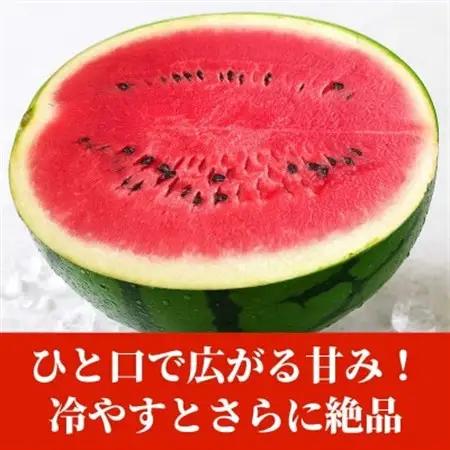 【先行予約】 熊本県産 甘い ご家庭用 大玉すいか スイカ 約8kg以上(1玉入り)(益城町)【1684336】