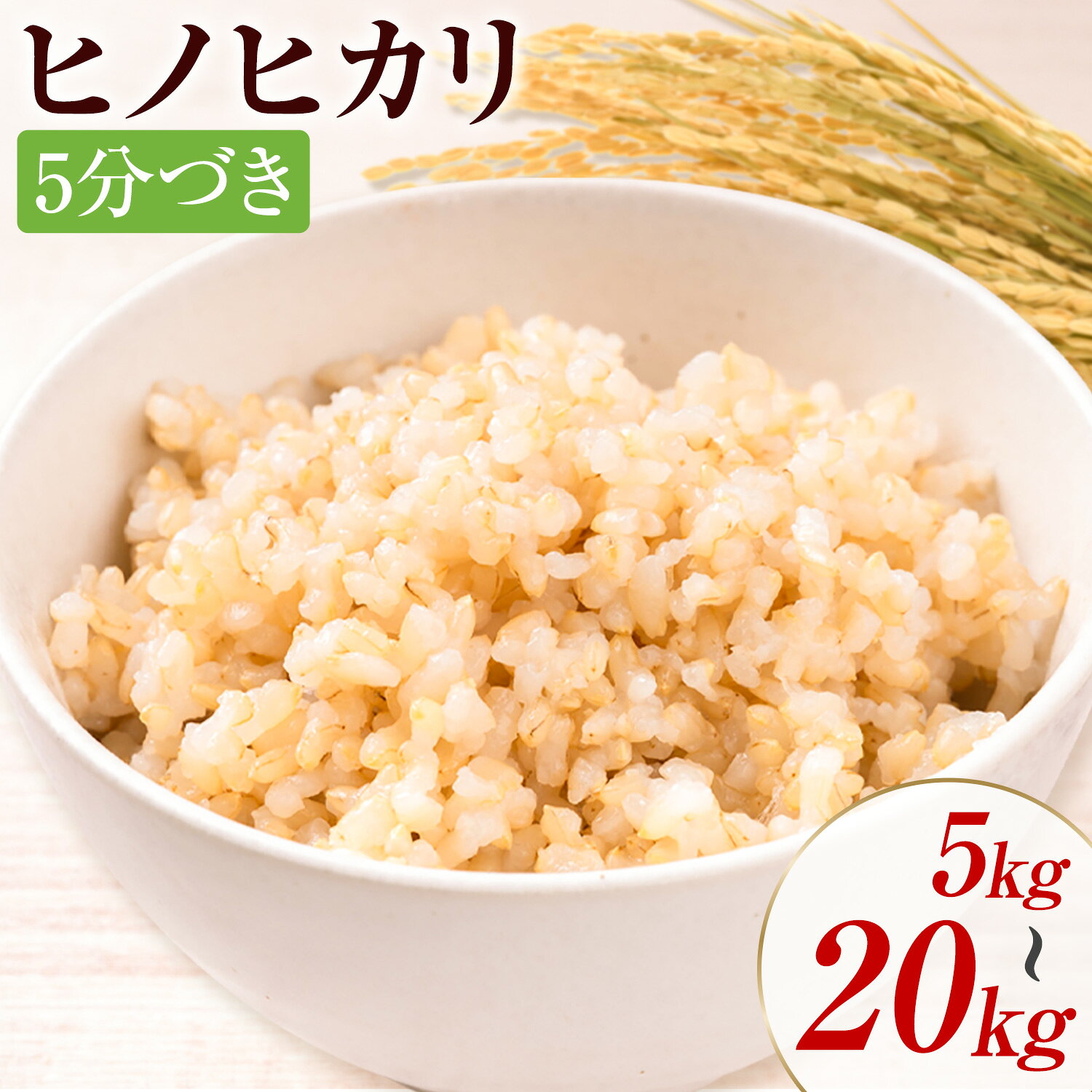 【ふるさと納税】米 令和7年産 ヒノヒカリ 5分づき 5kg 10kg 20kg 選べる 内容量 1袋 5kg 合同会社くまもとごはん 《30日以内に出荷予定(土日祝除く)》 熊本県 菊池市 お米 分づき米 九州産 熊本県産 白米 無洗米 ひのひかり 送料無料