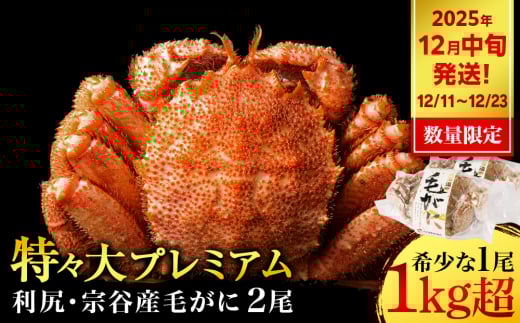 【2025年12月11日～12月23日発送】 毛ガニ 特々（1kg以上） 2尾 ＜利尻漁業協同組合＞