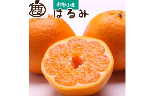 厳選 はるみ約3kg+90g（傷み補償分）【不知火の姉妹品種・新食感春みかん】【2025年2月初旬～2025年3月末日頃 順次発送予定】【IKE44】