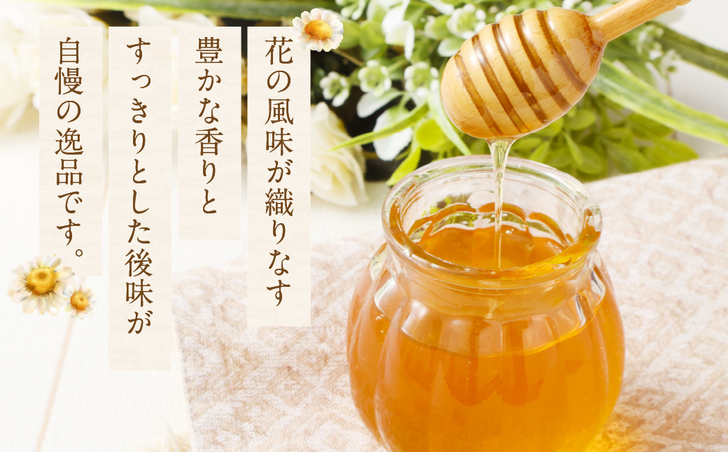 MINOKAMO HONEY はちみつ 3本（300g×3）合計900g