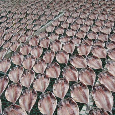 ふるさと納税 伊東市 【毎月定期便】真あじ　天日干しひもの　詰合せ(18枚入)全12回 |  | 02