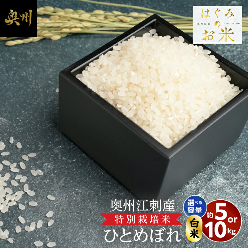 【ふるさと納税】 特別栽培米 hugmiのお米 奥州江刺産 ひとめぼれ 5kg / 10kg 令和7年産 白米 数量限定 冷めても美味しい ご飯 ごはん お米 こめ ライス おにぎり お弁当 岩手県 奥州市 [BJ016]