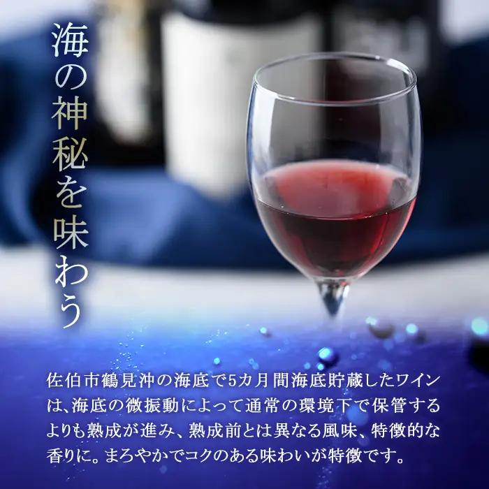 海底貯蔵 赤ワイン MARIREINE ロネア コート デュ ローヌ レジョンド デ トック2024 (750ml・1本) ワイン 赤ワイン 酒 パーティー 海底蔵の眠り酒 熟成 大分県 佐伯市【FP