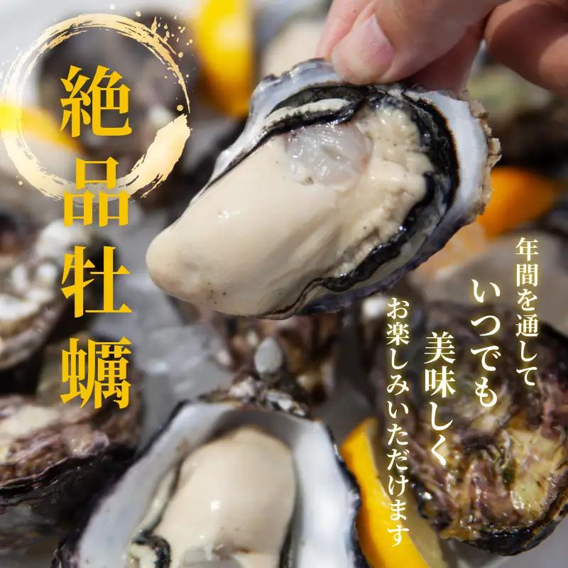 愛南 オイスター 3kg 牡蠣 加熱用 殻付き 牡蠣