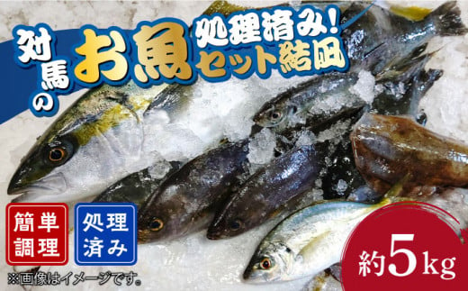 対馬 のお 魚 (結凪ユウナギ)  5kg《対馬市》【ゆうなぎ対馬】処理済み 鮮魚 新鮮 海鮮 イカ サザエ ヒラマサ ブリ 真鯛 クエ 冷蔵 [WAG004]冷蔵 下処理済み 簡単調理 生魚 鮮魚 朝獲れ 地魚 旬 新鮮 ブリ 真鯛 鯛 クエ ヒラマサ 刺身 お試し つしま 長崎