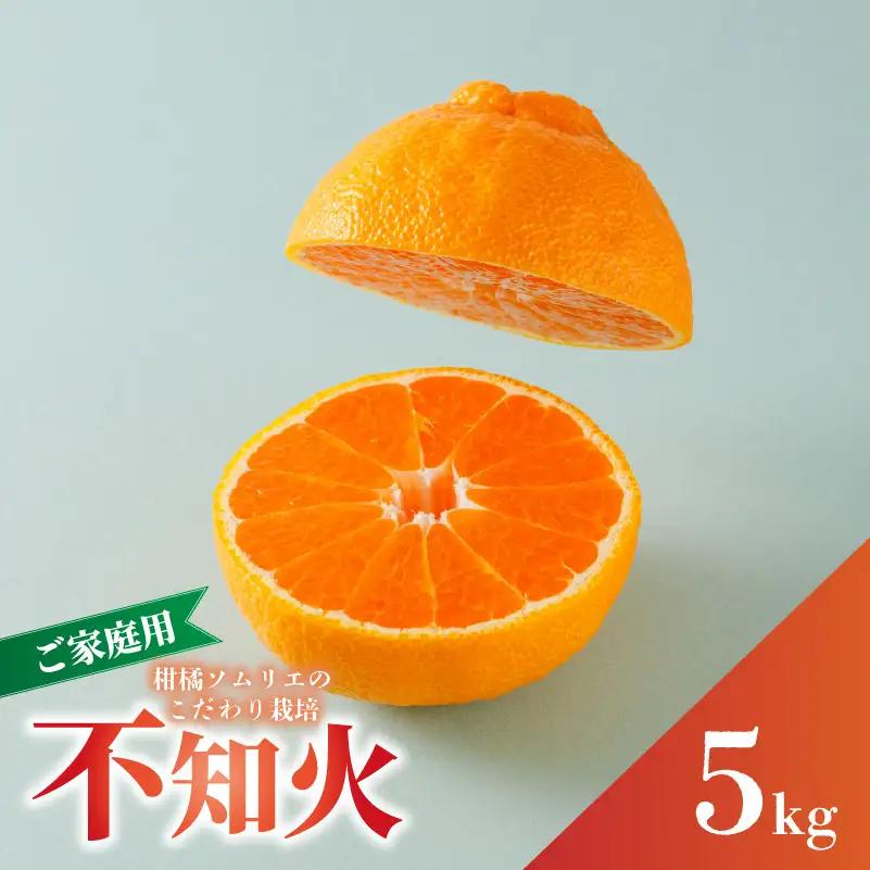 【2027年3月上旬頃から順次発送】【デコポンと同品種】不知火 B品 家庭用 5kg でこぽん【RNK0072】