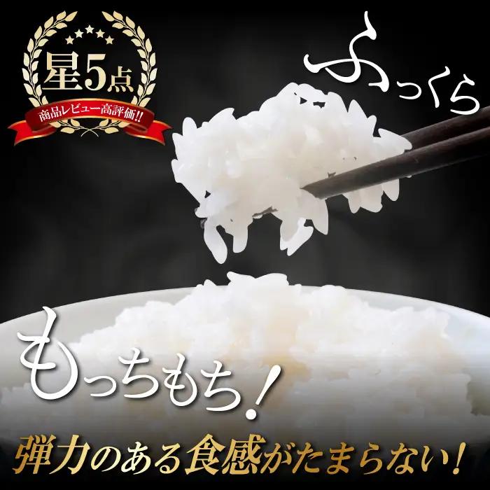 〈先行予約〉新米 令和6年産 美郷町産 特別栽培米 つや姫 10kg (5kg×2袋) 【お米 10kg 5kg×2袋 精米 白米 ブランド米 つや姫 特別栽培米 美郷町産 お米 先行予約 2024年