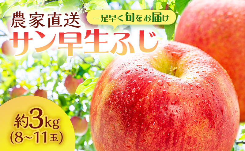 サイキチ農園 サン早生ふじ  ( 弘前ふじ ) 約 3kg (8～11玉) 青森県鰺ヶ沢町産 りんご リンゴ  フルーツ 果物 果物類 林檎 