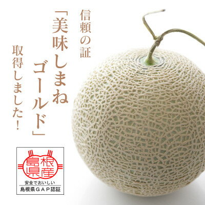 【ふるさと納税】メロンパークのメロン【2025年9月発送・2Lサイズ1玉】【1264385】