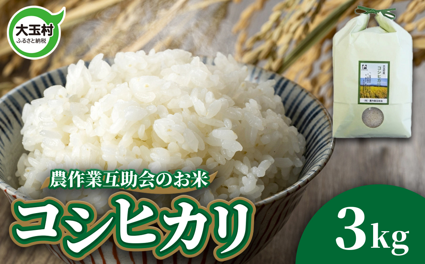 
            米 3kg コシヒカリ 令和6年  ｜ 福島県 大玉村 農作業互助会 白米 ごはん コメ こめ 米作り 精米 令和6年産 2024年産 ｜ gj-kh03-R6
          