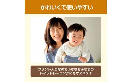 トイレットペーパー リラックマ ダブル 33m 48ロール 12個入り 高知県土佐市 【ハヤシ商事株式会社】 [BQAD017]