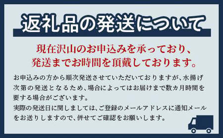 【生産者応援！期間限定増量中！】【訳あり】北海道噴火湾産 活オオズワイガニ 3.0ｋｇ詰め込みセット ＜道産ネットミツハシ＞ かに カニ がに 森町 ふるさと納税 北海道 ずわいがに mr1-0451