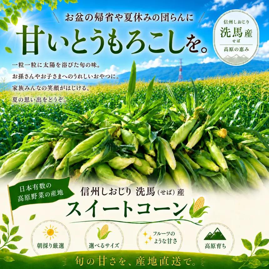 極甘スイートコーン 訳あり L規格15本 約5kg （高原野菜の名産地　信州しおじり洗馬産）【8月10日～15日頃に出荷予定※不在日対応不可※】