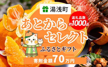 あとからセレクト【ふるさとギフト】70万円_ZZ1020