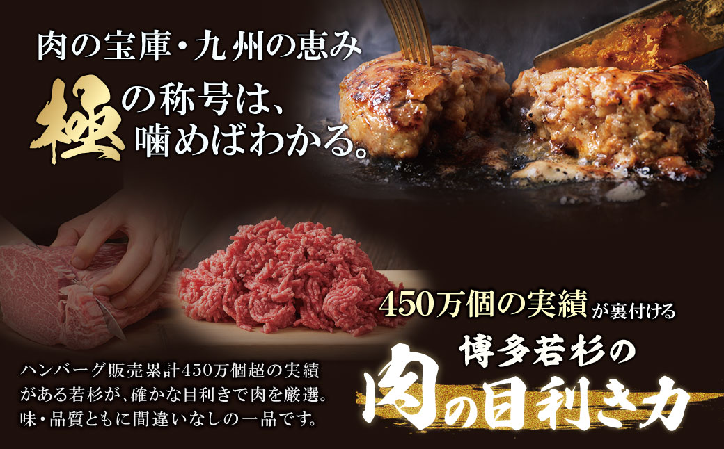 【母の日】極生ハンバーグ 9個セット(150g×9) 