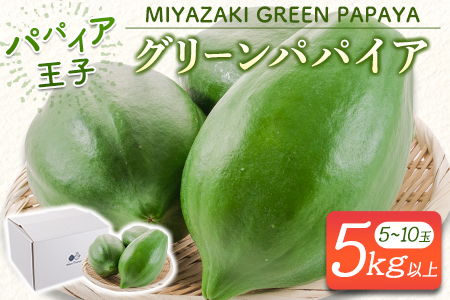 青パパイヤ 5kgセット 酵素の王様・健康万能野菜 パパイア王子厳選 宮崎県産【B686】