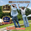 【ふるさと納税】BBQやキャンプなども楽しめる複合施設 THE FARM利用券　3,000円分【1273195】