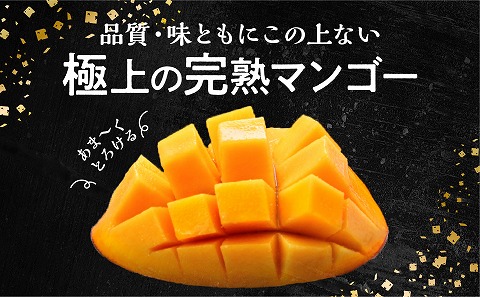 【期間・数量限定】おがたのマンゴー　完熟宮崎マンゴー　3Lサイズ(450～499g)×1個_M161-007_01