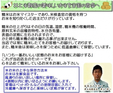 【令和7年産新米】6ヶ月定期便 ミネラル栽培こしひかり 5kg×6回 計30kg 白米 精米 井上米穀店 1I13091