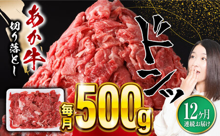 【全12回定期便】あか牛 切り落とし 500g 牛肉切り落とし 牛肉切り落とし 牛肉切り落とし 牛肉切り落とし 牛肉切り落とし [YBZ058]