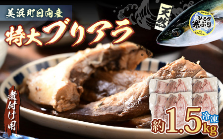 天然 ぶり 特大 ブリアラ（煮付け用）合計 約1.5kg 美浜町日向産【ぶつ切り 切身 塩焼き 骨付き ブリ大根 煮物 アラ】 [m36-a019]