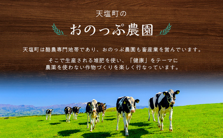 2026年分予約開始★北海道産大玉にんにく1kg《おのっぷ農園》