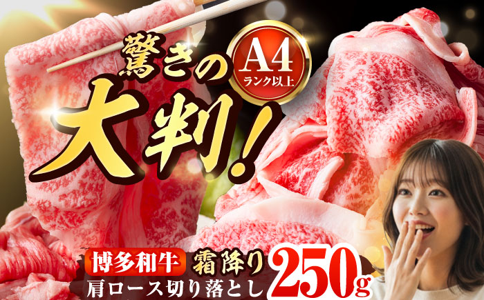 【A4～A5】 博多和牛 大判霜降り 贅沢切り落とし 250g 吉富町/株式会社MEAT PLUS [BGAB108]