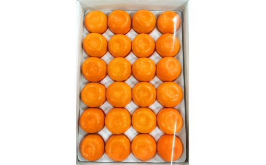 赤秀品　紀州和歌山ハウスみかん2.5kg【予約】※2025年6月下旬～7月中旬頃に順次発送予定(お届け日指定不可)【uot735A】_イメージ2
