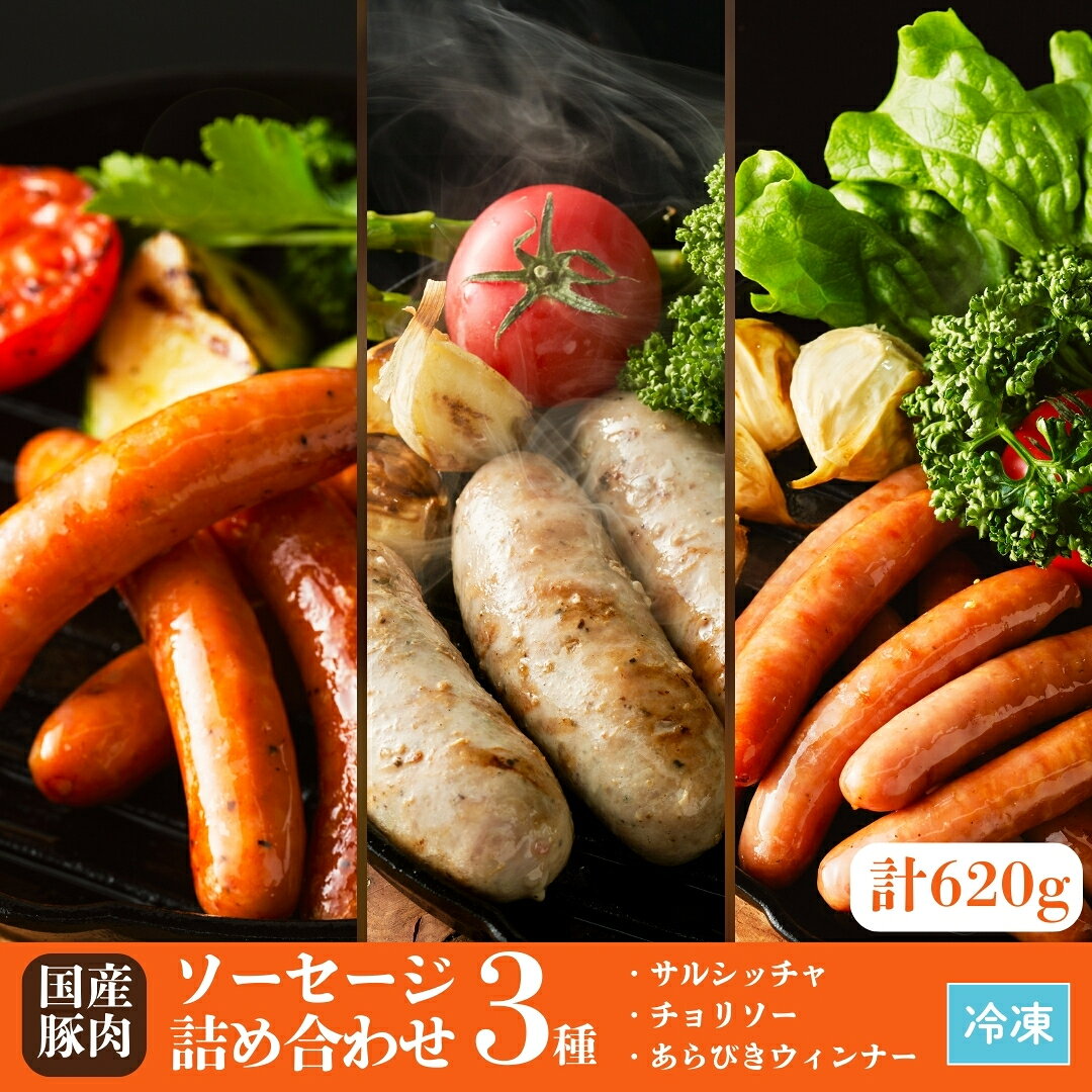 【ふるさと納税】国産豚肉 ソーセージ 3種 詰め合わせ 620g (サルシッチャ / チョリソー / あらびきウィンナー) | ウィンナー ギフト 贈答用 国産 豚肉 冷凍 福相食品工業 福島 南相馬 ab001-aa