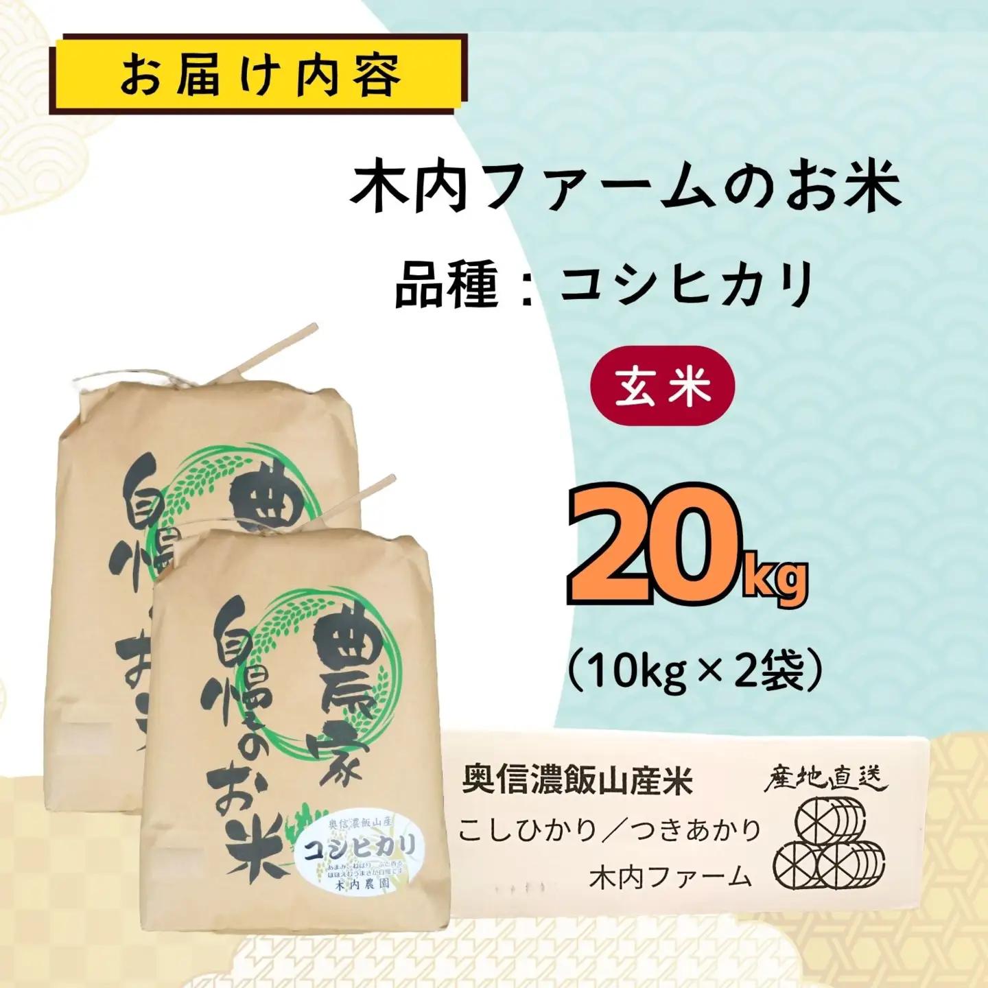 【新米予約】玄米 20kg コシヒカリ 木内ファーム コシヒカリ