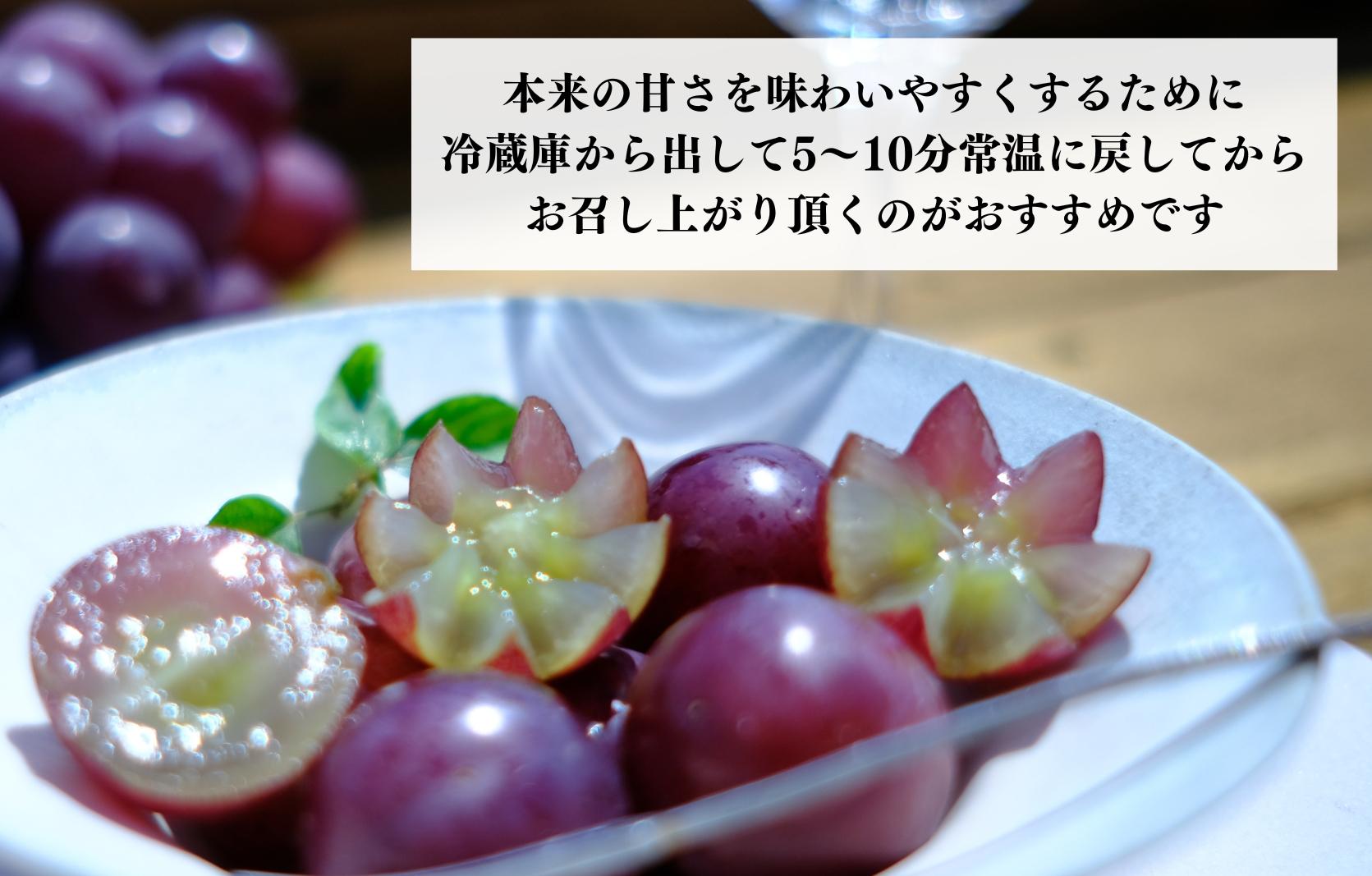 巨峰 種なし 有田巨峰村の巨峰 2kg( 3房 ～ 6房 ) 和歌山県産 【みかんの会】