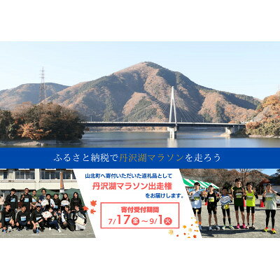 【ふるさと納税】丹沢湖マラソン3.3km出走権&オリジナルTシャツ&さくらの湯利用券11月29日(日)開催【1756563】