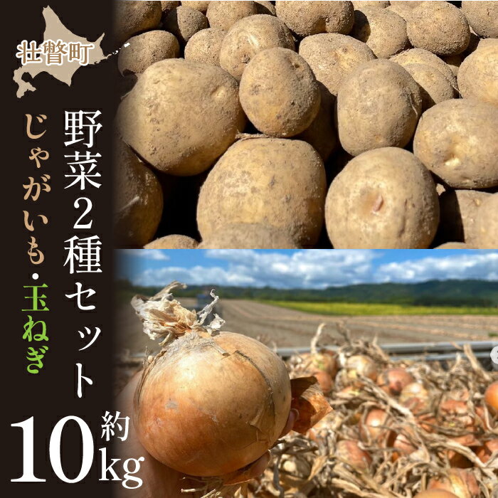 【ふるさと納税】＜2025年9月初旬よりお届け＞【農園直送】北海道壮瞥町産　清水農園の野菜2種セット（じゃがいも・玉ねぎ）計約10kg ふるさと納税 人気 おすすめ ランキング じゃがいも ジャガイモ 玉葱 玉ねぎ たまねぎ タマネギ セット 北海道 壮瞥町 送料無料 SBTO010