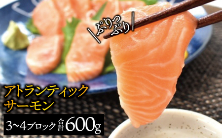 サーモン タスマニア サーモンブロック 計600g【nks701A】
