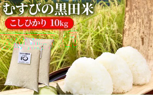 新米 むすびの黒田米 こしひかり 10キロ [ 米 お米 10kg 5kg×2袋 コシヒカリ お弁当 おむすび 冷めても美味しい ]
