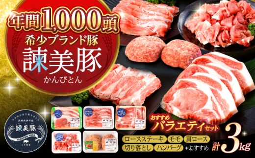 諫美豚バラエティセット計3kg / ロースステーキ モモ 肩ロース 切り落とし ハンバーグ / 豚 豚肉 ロース ステーキ 切り落とし 小分け / 諫早市 / 株式会社土井農場 [AHAD050]