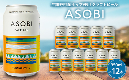【与謝野町産ホップ使用クラフトビール】 ASOBI(アソビ) 350ml×12本　ペールエール【1248906】