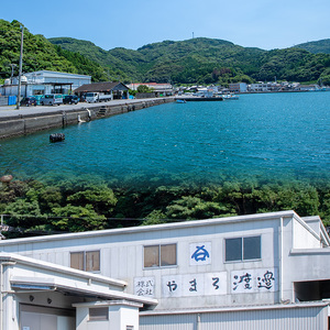  ＜先行予約受付中！2026年11月より発送予定＞大分県佐伯産 かぼすぶりしゃぶ 食べ尽くしセット(計3種) 魚 海鮮 ブリ 鰤 ブリしゃぶ しゃぶしゃぶ スライス 切り身 切身 あら アラ 小分け 