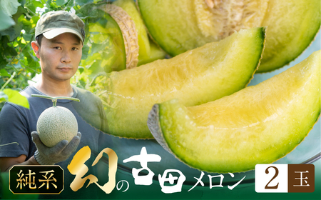 《先行予約》純系古田メロン2玉 メロン 石井農園